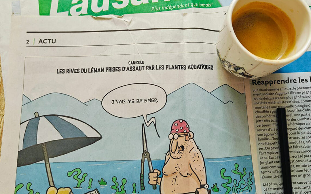 Fraîches nouvelles !